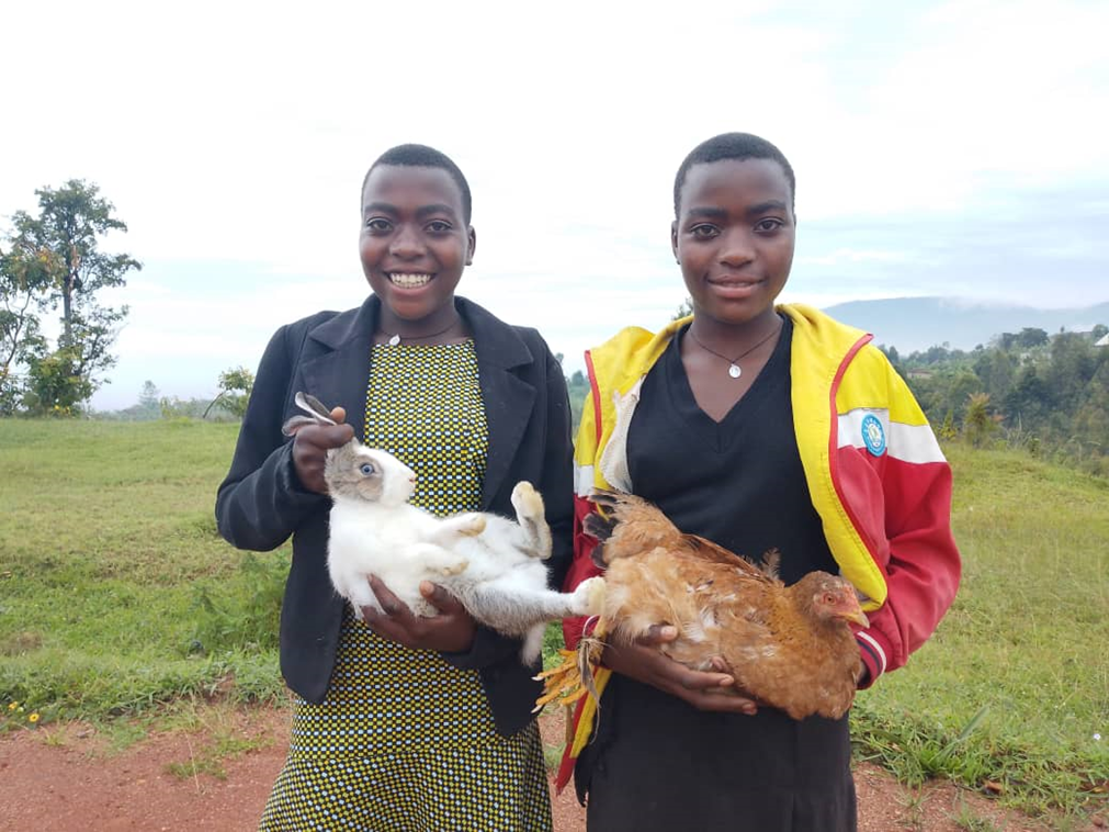 Livelihoods & Resilience
